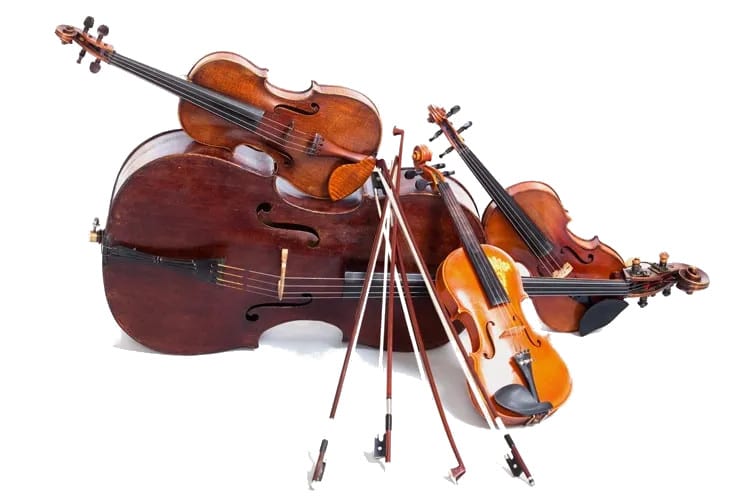 Geige, Bratsche Cello Unterricht